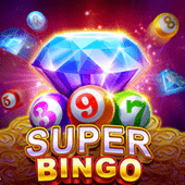 Super Bingo Game